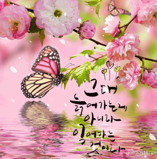 π΅ λ
Έλ
μ λ©Β