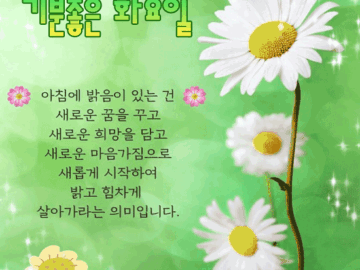 πΊ λΉμ μ΄ λ³ν¨μμ΄ λλ₯Ό λ―Ώμ΄ μ£Όλκ²