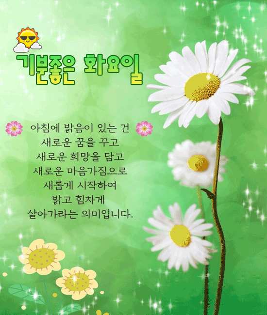 πΊ λΉμ μ΄ λ³ν¨μμ΄ λλ₯Ό λ―Ώμ΄ μ£Όλκ²