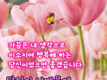 π λΉμ μ΄ λλλ¬Έμ ν볡νμΌλ©΄ μ’κ² μ΅λλ€