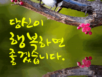 🌷 당신이 행복했으면 좋겠습니다