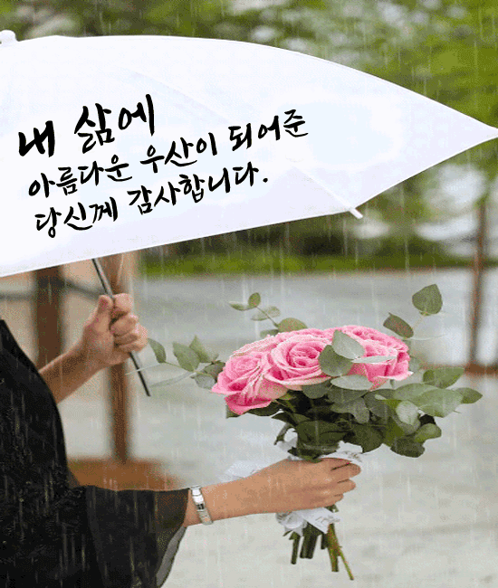 ๐ย ๋น ์ค๋ ๋ ์ ์ผ๊ธฐ