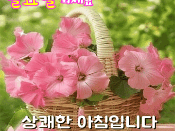 π μΆμ μμν ν볡