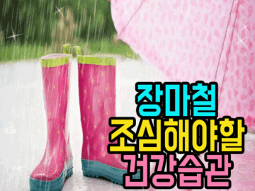 βοΈ μ₯λ§μ² μ‘°μ¬ν΄μΌν 건κ°μ΅κ΄