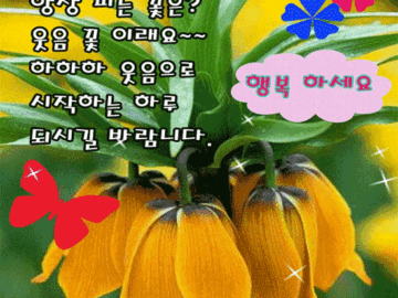 ๐ ์์์ผ๋ก ์์ํ๊ณ ๊ฐ์ฌํ๋ ๋น์