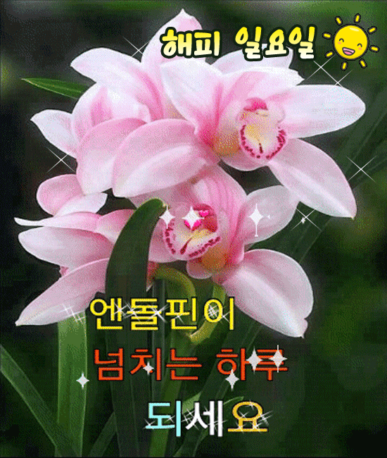 πΊ ν루λ₯Ό μ¦κ²κ² μ΄κΈ° μν λ°©λ²