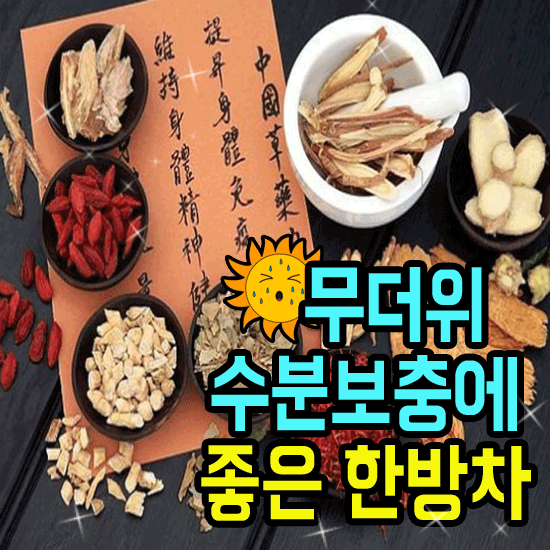☀️ 무더위 수분보충에 좋은 한방차