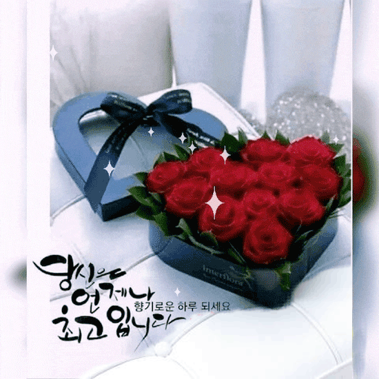 π λΉμ μ μ΄ μΈμμμ μ΅κ³ μ
λλ€