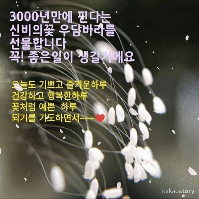 π· 3000λ² μ·κΉμ μΈμ°μ΄ ν λ²μ λ§λ¨μ λ§λ λ€