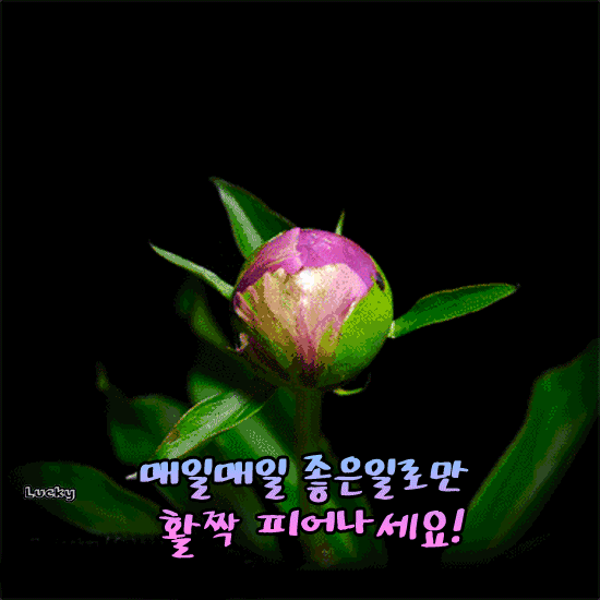 π μ’μ μΌλ€μ΄ λ§μμ§κ² νμμ