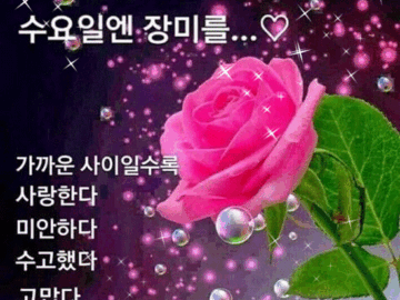 π μΆμ λ°κΎΌ λ§ νλ§λ