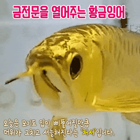 π° λμ λΆλ₯΄λ ν©κΈμμ΄