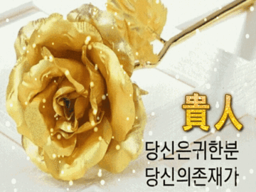 π λΉμ μ΄ μλ¦λ€μ΄ μ΄μ