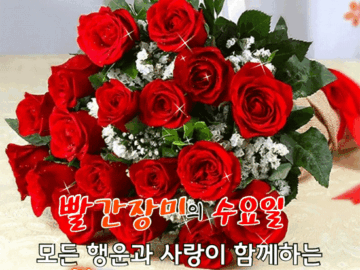 π μ¬λν΄μ λΌκ³ λ§ν μ μλ ν볡