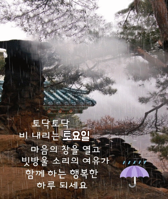 ☂️ 산사의 빗소리
