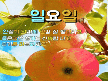 π μ¬λνλ λΉμ μκ² λ리λ κΈ