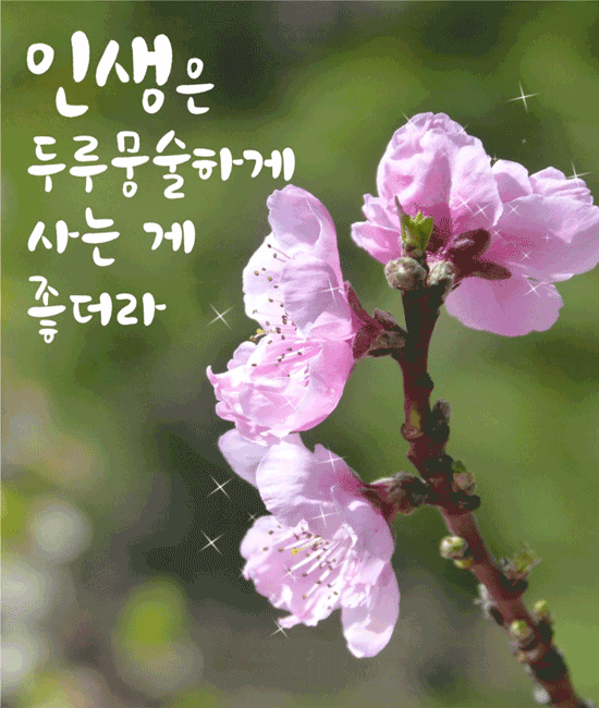 ๐ ์ฐ๋ฆฐ ์ผ๋ง๋ ๋ฉ์ง ์ธ์์
๋๊น?