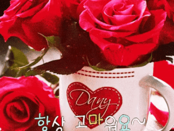 ๐ท ๊ฐ์ฌํ๋ ๋ง์์ผ๋ก ์ด์ย