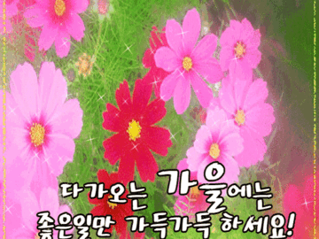 ๐พ ์ด ๊ฐ์์ ๋ด๊ฐ ๋ฐ๋ผ๋ ๊ฒ๋คย