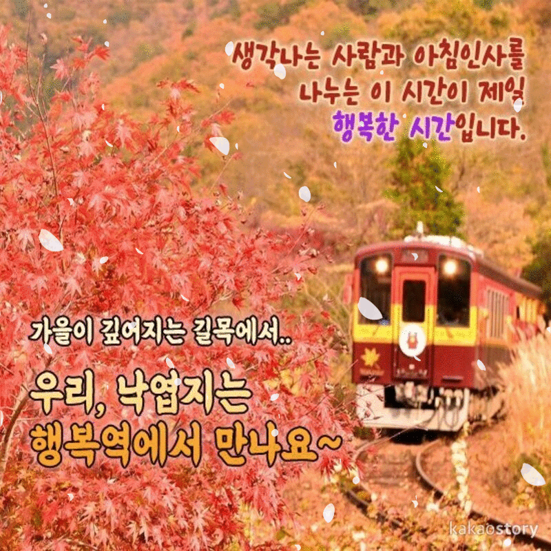 ๐ ์ฐ๋ฆฌ ํ๋ณต์ญ์์ ๋ง๋์