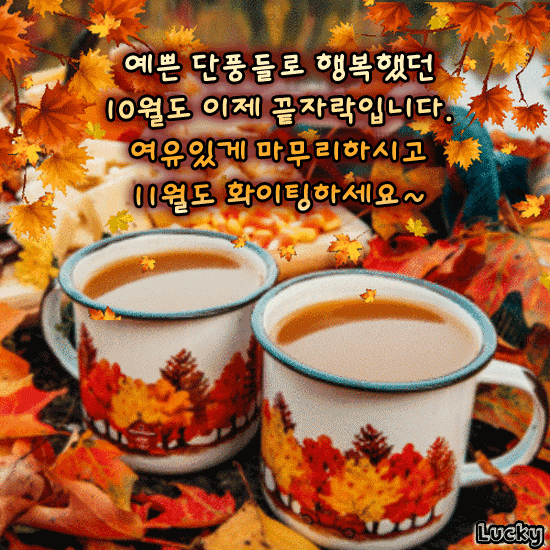 π κ°μμ΄ κΉκ² λ¬Όλ€μ΄ κ°κΈ° μ μ