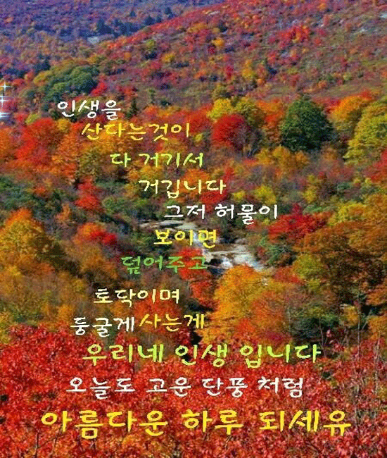 π ν볡ν κ°μλ 보λ΄μκΈΈ λ°λλλ€!!Β