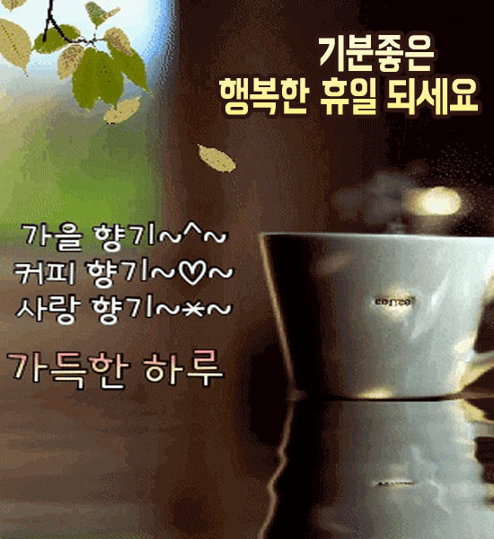 π΄ ν΄μ κ°μ ν루