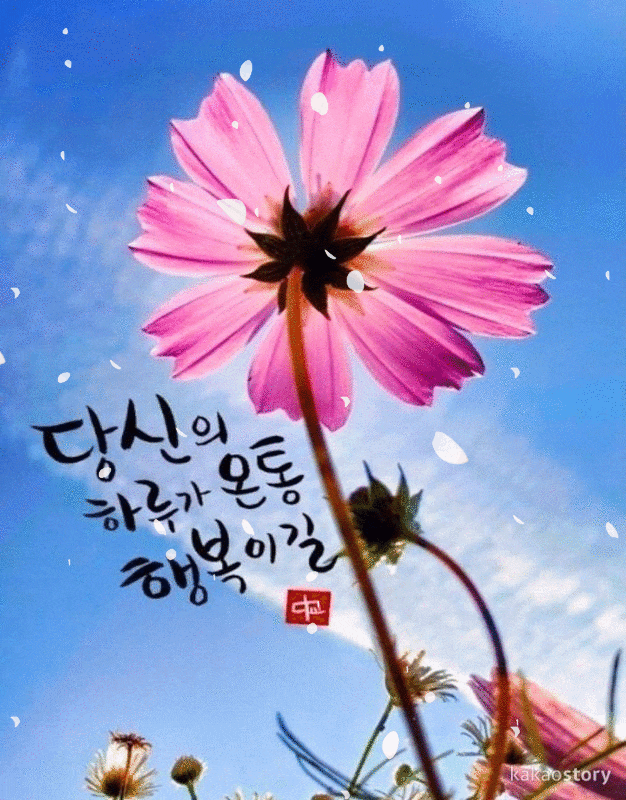 π΅ κ±±μ νμ§λ§ μ λ κ±°μΌΒ