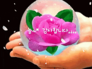 🌺 언제나 감사하는 마음