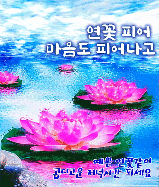 πΊ μ°κ½ νΌμ΄ λ§μλ νΌμ΄λκ³