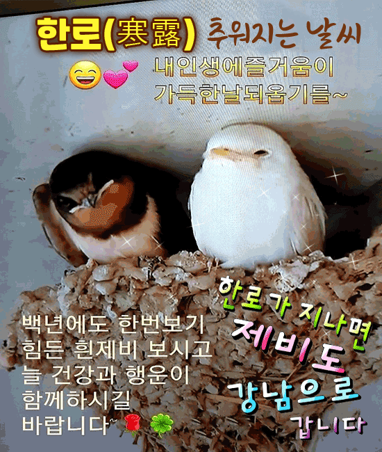 ๐ ๊ฐ์์ ๋๋ฅผ ๋ถ๋ฌ์ฃผ์ธ์ย