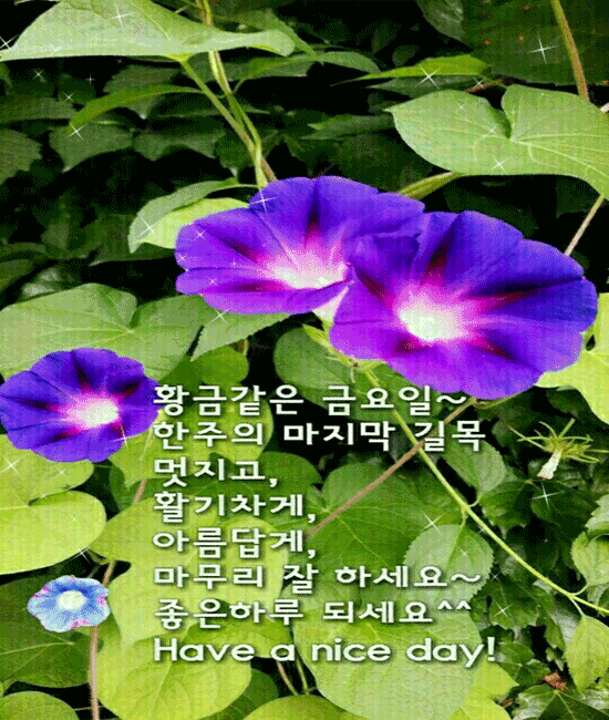 ๐ ๋ง์์ ๋ค์ค๋ฆฌ๋ ์์นจ