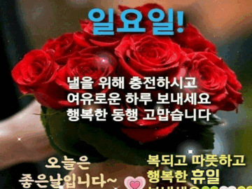 ๐ต ์ด๋ฌ์ ๋์๋ฝย ํด์ผ! ๋ง์๊ฐ์ง 8๊ฐ์ง