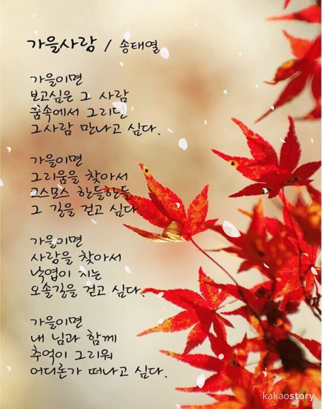 π κ°μμ΄ λ¬»μ΄ μμ΅λλ€