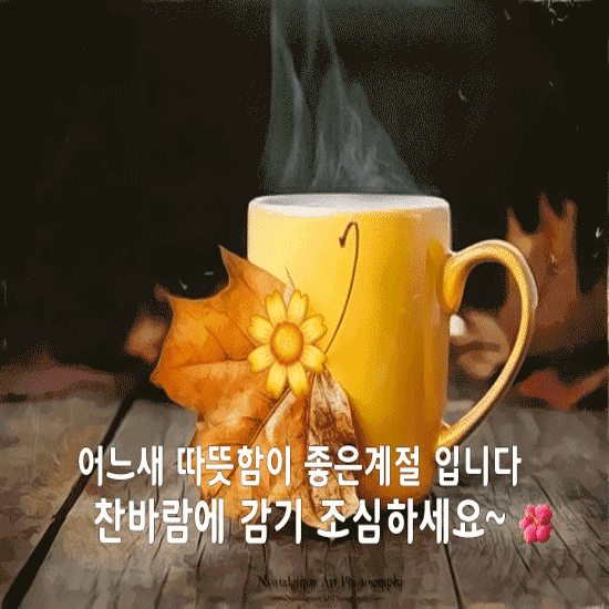 ๐ ๋ง์์ด ํธํ๊ฒ ์ข๋ค