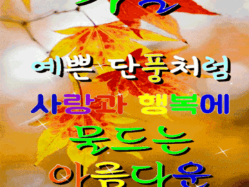 π λ©μΆ° μμΌ λΉλ‘μ μλ¦λ€μμ΄ λμ 보μΈλ€