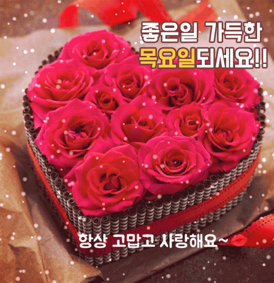 π μ¬λνλ κ²μ