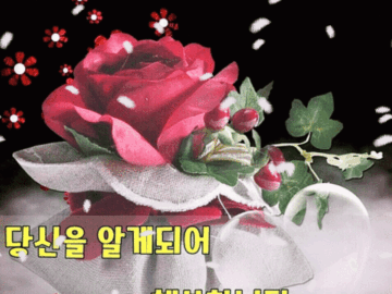 πΆ λΉμ μ΄ μμ΄ ν볡ν©λλ€