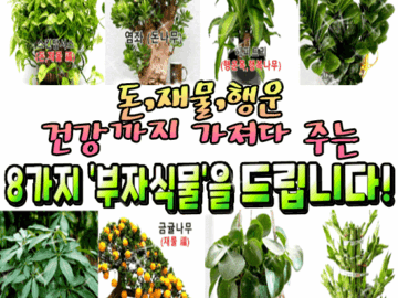 ๐ฐ ๋,์ฌ๋ฌผ,ํ์ด,๊ฑด๊ฐ๊น์ง ๊ฐ์ ธ๋ค ์ฃผ๋ ๋ถ์์๋ฌผ๋ค