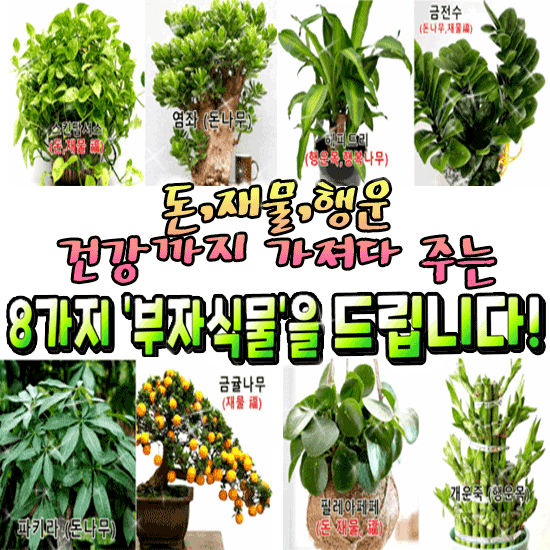 π° λ,μ¬λ¬Ό,νμ΄,건κ°κΉμ§ κ°μ Έλ€ μ£Όλ λΆμμλ¬Όλ€