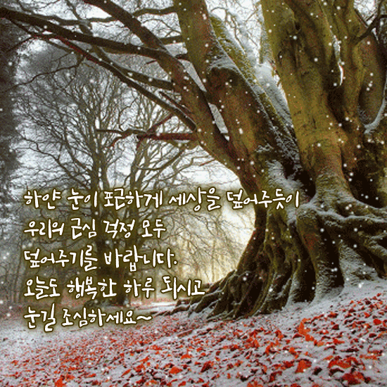 ❄️ 겨울 일기