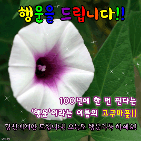 ๐บ ํ์ด์ ๊ณ ๊ตฌ๋ง๊ฝ์ ์์๋์?
