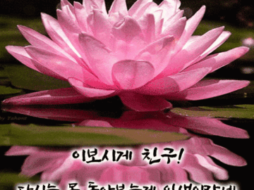 ๐๏ธ ์น๊ตฌ ์ฌ์์ฌ์ ๊ฐ์ธ
