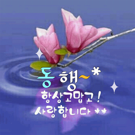 무슨 인연으로 당신을 만났을까요
