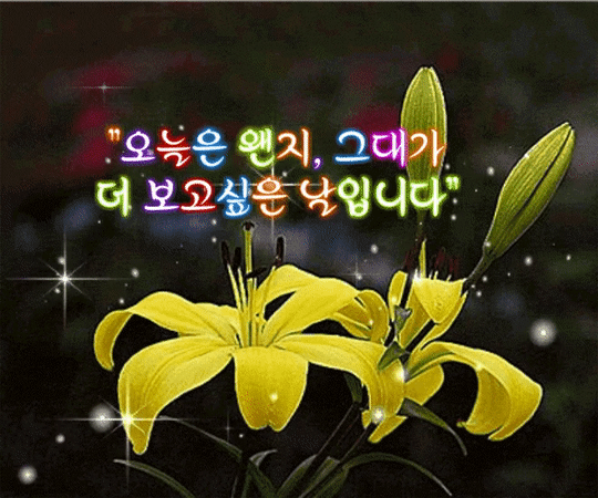별은 나를 떠나지 않는다