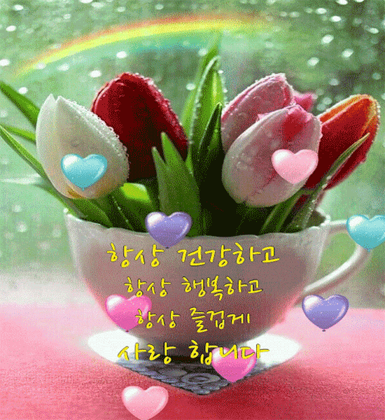 항상 감사하는 마음