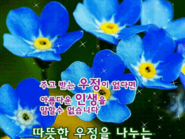 열두달의 친구이고 싶다