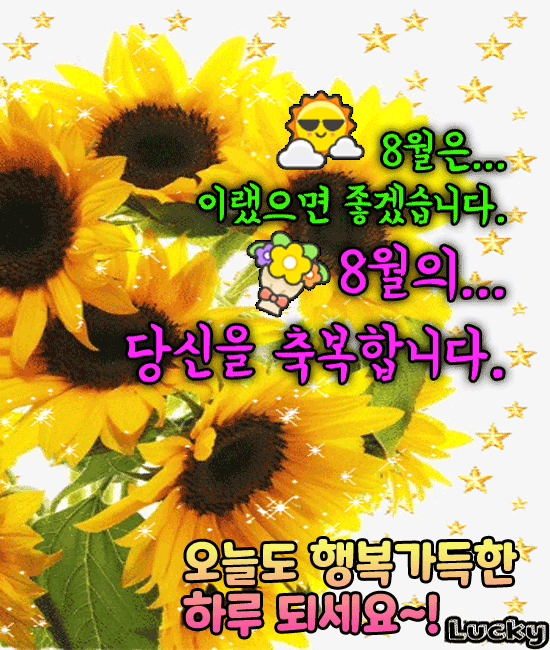 8월은 이랬으면 좋겠다