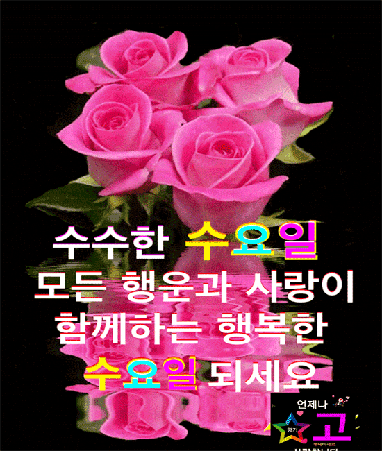 당신이 보고 싶은 날