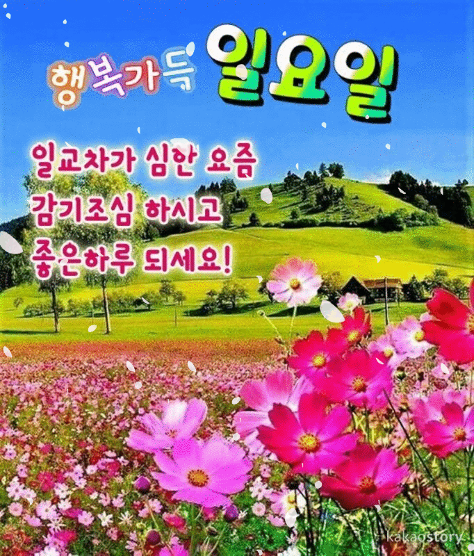 진실한 마음을 주는 사람